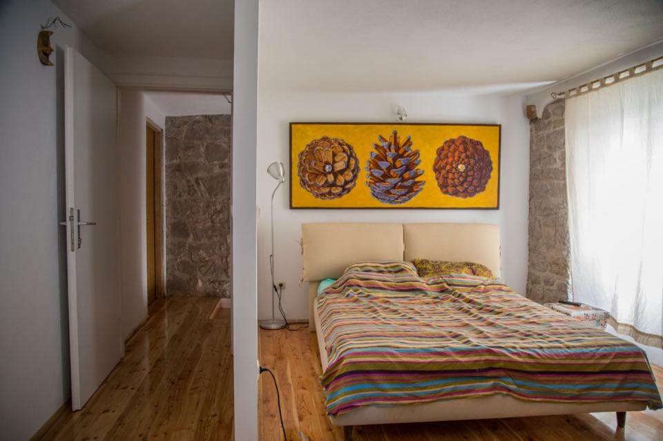 Old House Διαμέρισμα Βόντιτσε Εξωτερικό φωτογραφία